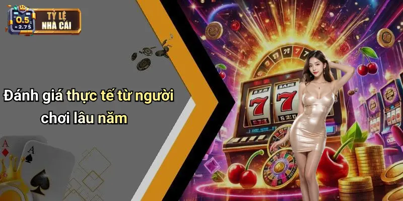 Đánh giá thực tế từ người chơi lâu năm
