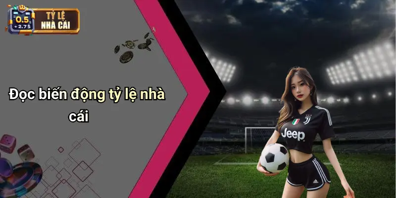 Đọc biến động tỷ lệ nhà cái