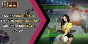 Soi Kèo Bóng Đá Các Trận Đấu Vòng Loại Africa Cup: Nhận Định Tỷ Lệ, Cửa Ăn