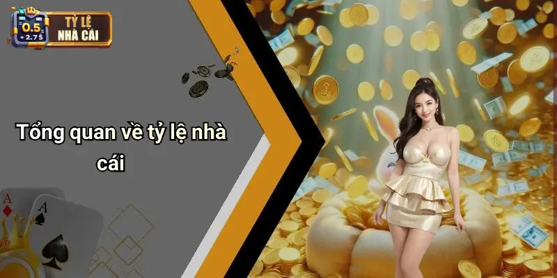 Tổng quan về tỷ lệ nhà cái