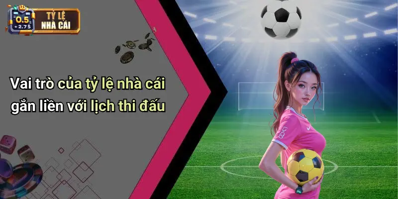 Vai trò của tỷ lệ nhà cái gắn liền với lịch thi đấu