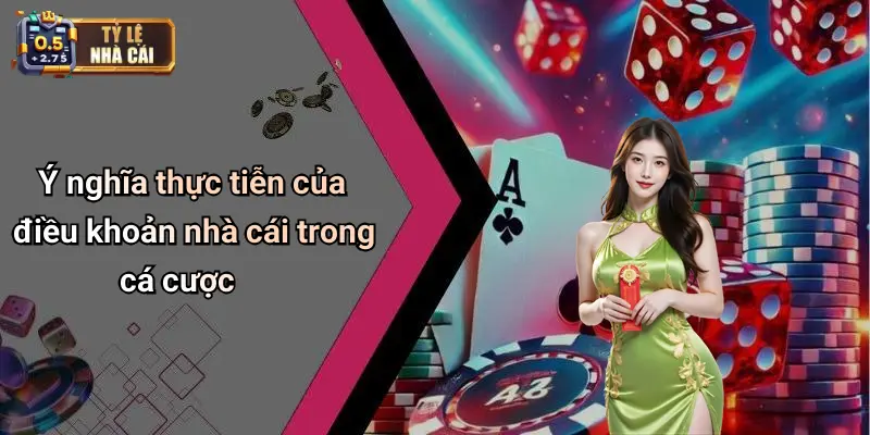 Ý nghĩa thực tiễn của điều khoản nhà cái trong cá cược