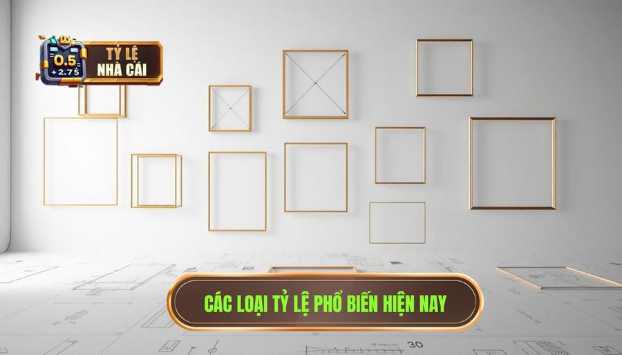 Các loại tỷ lệ phổ biến hiện nay