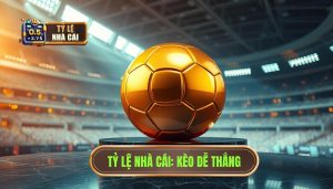 Bí quyết chọn kèo bóng đá dễ thắng - Mẹo từ TỶ LỆ NHÀ CÁI